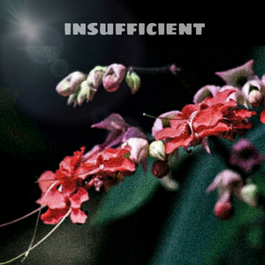 Insufficient