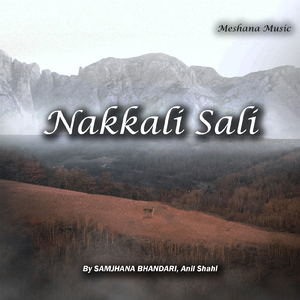 Nakkali Sali