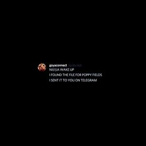 POPPYFIELD (feat. GOYACONNECT)