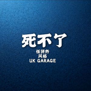 死不了（uk garage风格版）