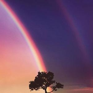 【FREE】“Rainstorm”