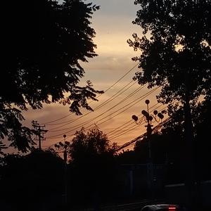 贩卖日落（翻自 蓝心羽）