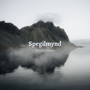 Spegilmynd