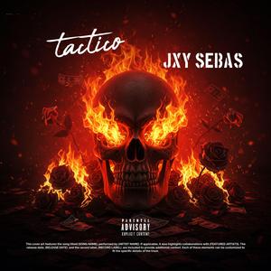 TACTICO