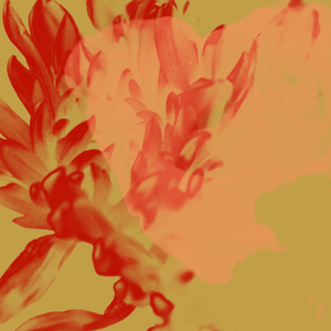 Amaya (Cortese's Midnight Crisis Mix)