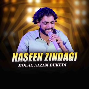 Haseen Zindagi