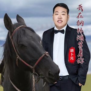 我在纳林湖等着你（伴奏）