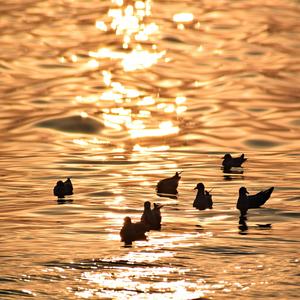 자연치유 (몸과 마음의 재충전)