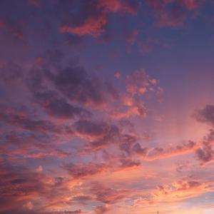 Velvet Skies