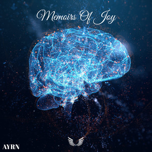 Memoirs Of Joy