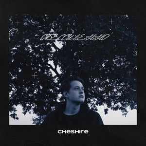 Обессиленно