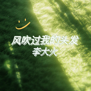 风吹过我的头发