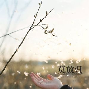莫放归