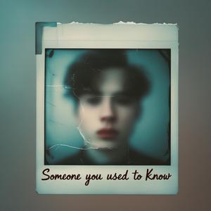 Someone You Used To Know (feat. Avalin Molika)