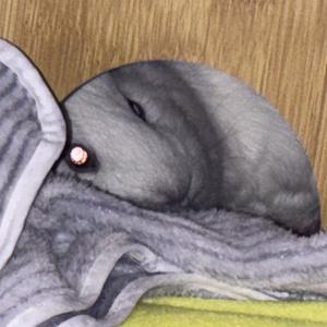 你错过的风景我都替你记录下来了