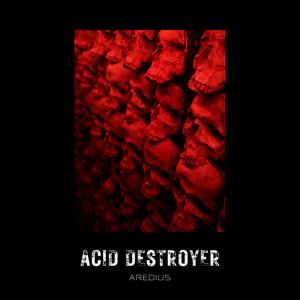 Acid Destroyer