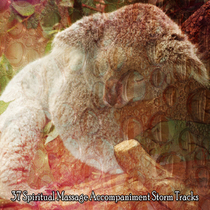 深思熟慮的風暴之夜