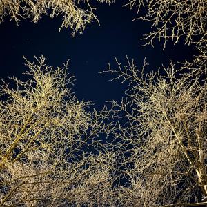 雪に込めたさよなら