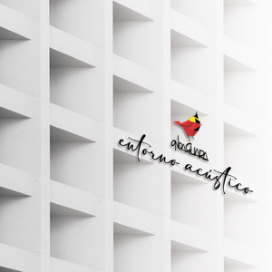 Adios, Viejo Viejo (Acústico)