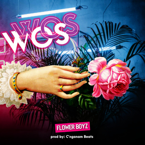 W.O.S (World on Slow'mo) (Clean)