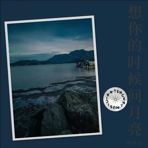 想你的时候问月亮