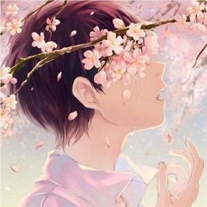 你的眼里我只能看到樱花