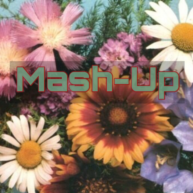Mash封面