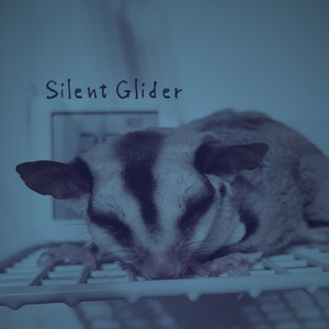 Silent Glider