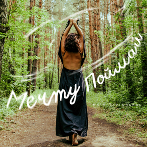 Мечту поймай