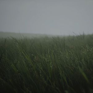 大专帅哥坐火车-伴奏