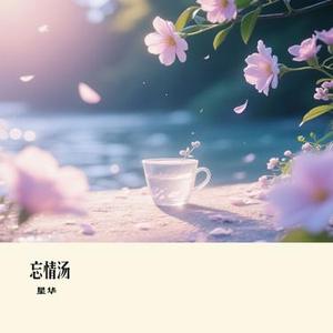 从简 (Remix)