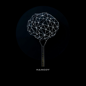 Hamody