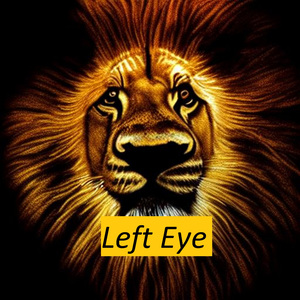Left Eye