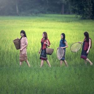 รวมเพลงไทยเดิม ไพเราะเพราะพริ้ง เสนาะหู ที่สุดในโลก