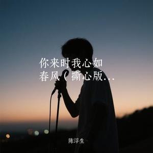 你来时我心如春风  (Remix)