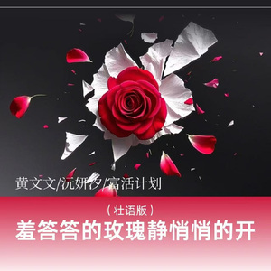 羞答答的玫瑰静悄悄地开 (壮语版)