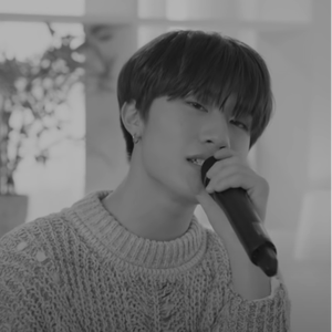 HONESTY (Cover By BANG YE DAM)