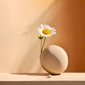 岁月静好(钢琴曲版)