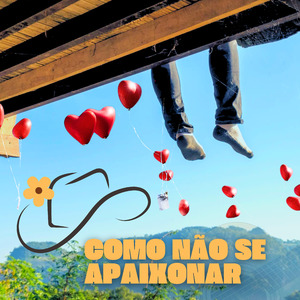 Como Não Se Apaixonar