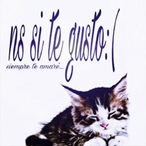 ns si te gusto :(