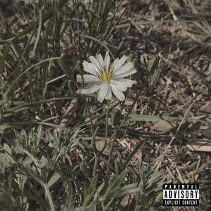 花蕊（prod by Abebeey）