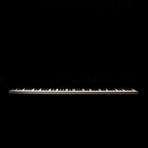 灰色梦（Ashen dream）