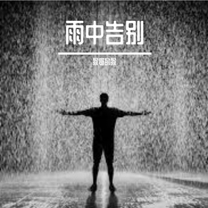 雨中告别