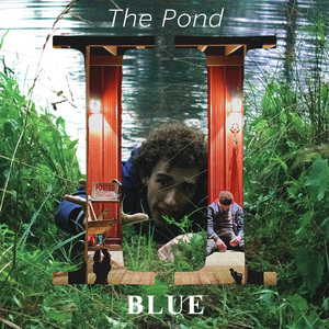 The Pond