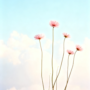 别让爱埋弃 (原版)