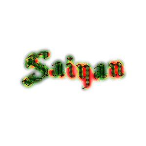 S.A.I.Y.A.N