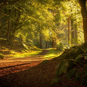 钢琴白噪音的宁静梦乡