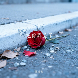 把你弄丢了