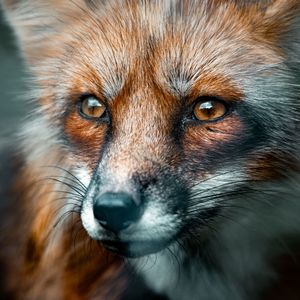 OLD SCHOOL BOOMBAP(空洞）