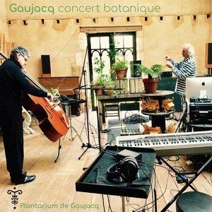 Chants & dicksonia, Pt. 2